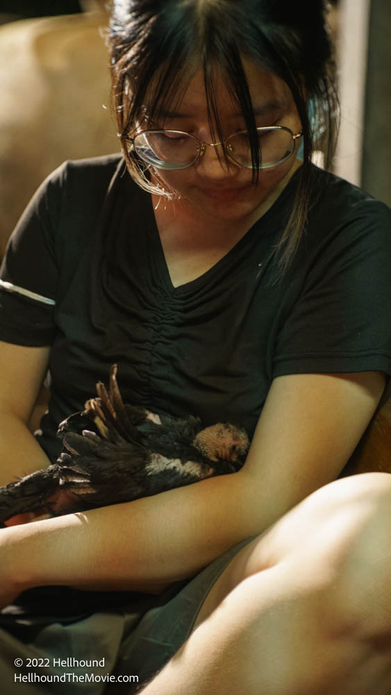 hellhound-website-selects-07566